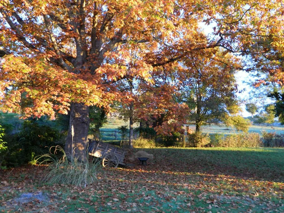 Naturaform centre de bien-être et ses chambres d'hôtes Villeneuve-de-Rivière
